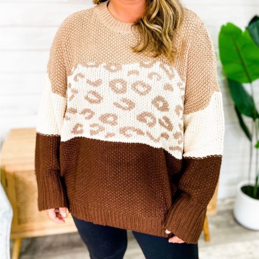 Leopard Color Block Sweater